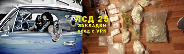 шишки Алексин