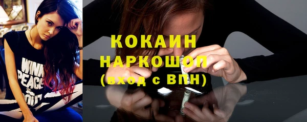 шишки Алексин