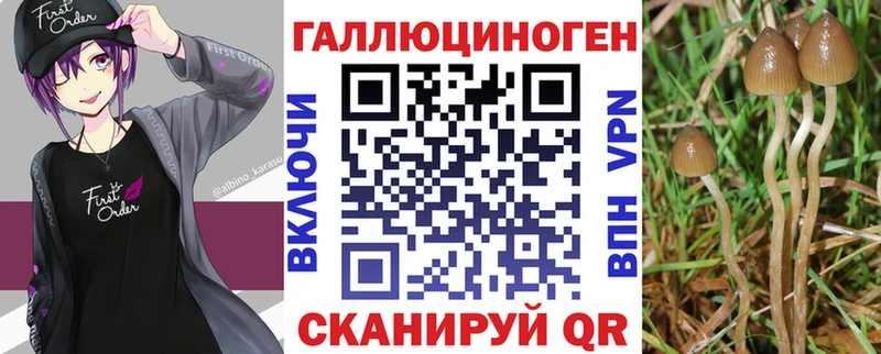 Галлюциногенные грибы Cubensis  Воткинск 